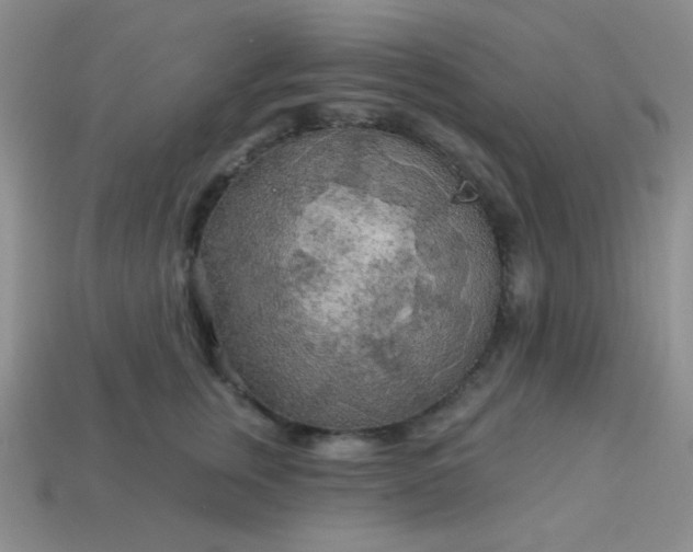 X0000113960759200910091629