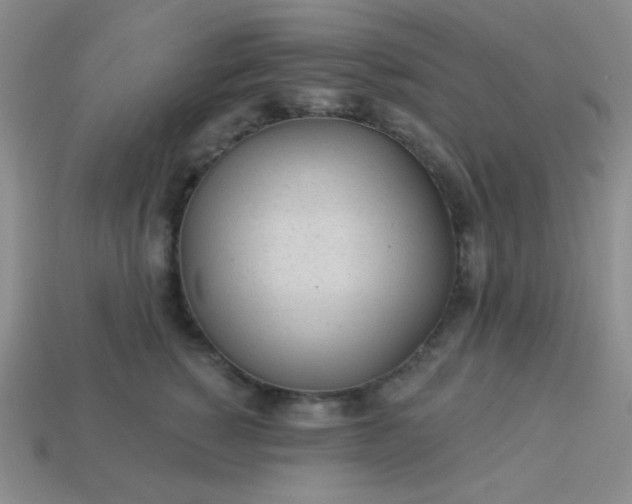 X0000113960760200910091629