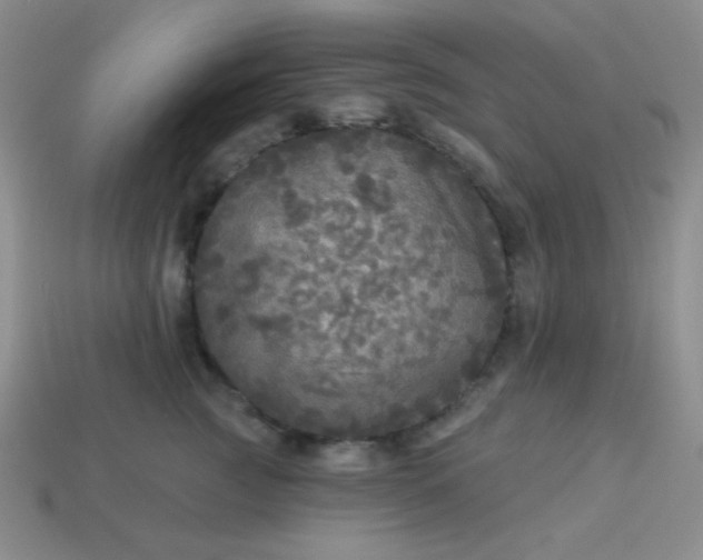 X0000113960761200910091629