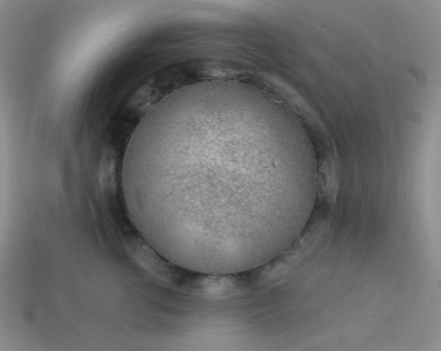 X0000113960762200910091629