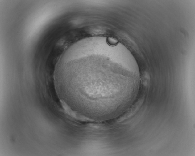 X0000113960763200910091629