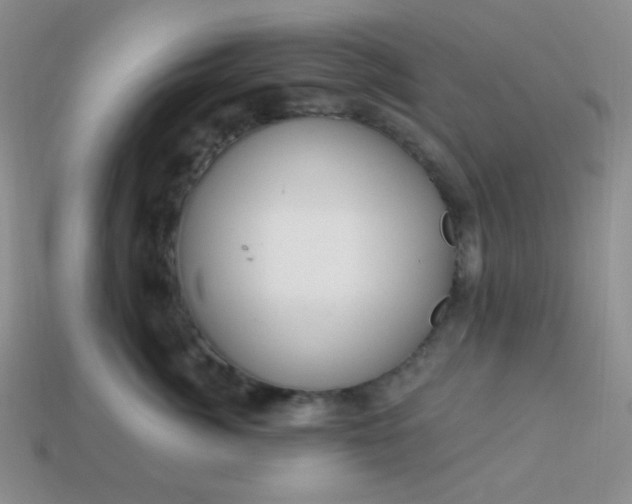 X0000113960764200910091629