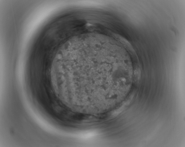 X0000113960765200910091629