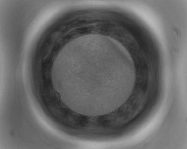 X0000113960766200910091629