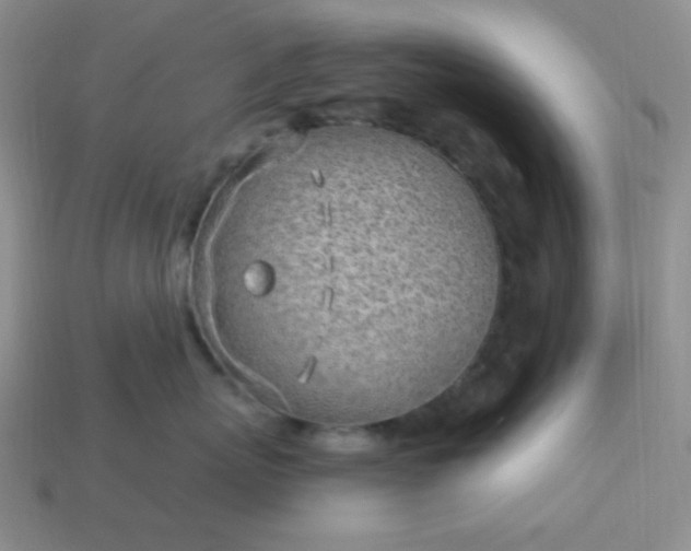 X0000113960767200910091629