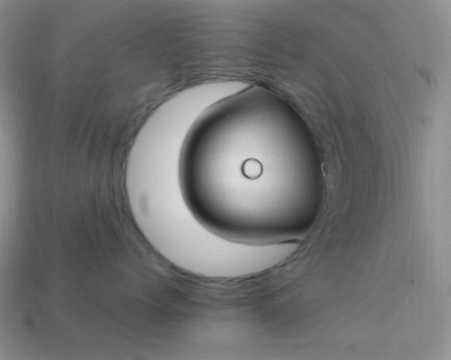 X0000113960768200910091629