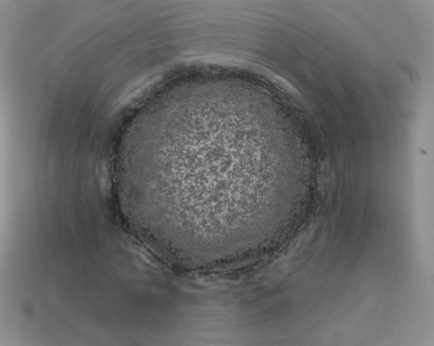 X0000113960774200910091628