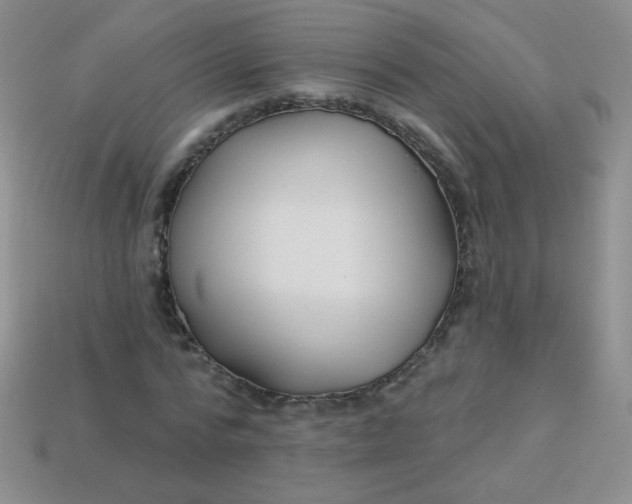 X0000113960776200910091628