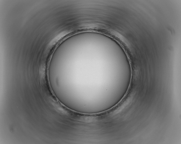 X0000113960778200910091628