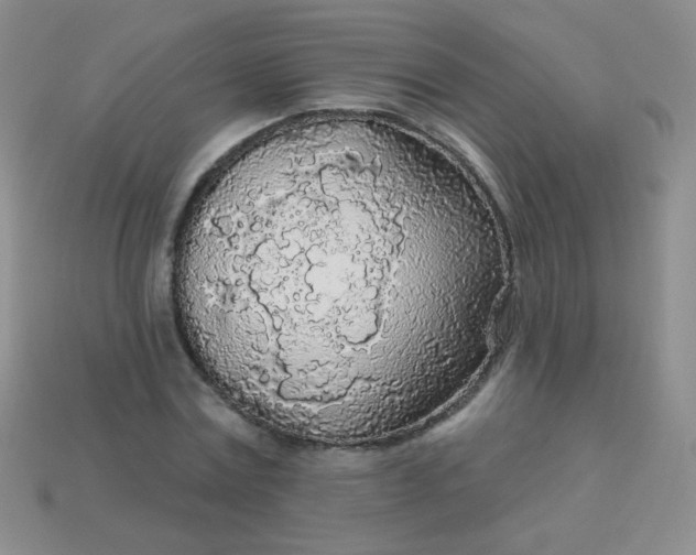 X0000113960779200910091628