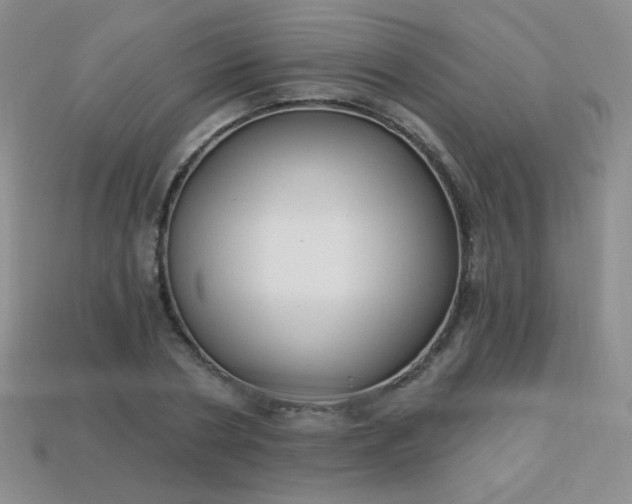 X0000113960786200910091628