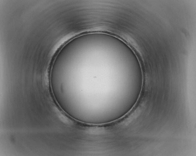 X0000113960789200910091628