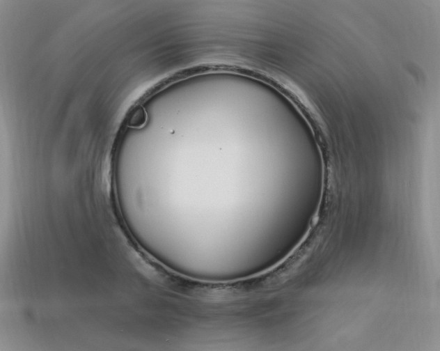 X0000113960791200910091628