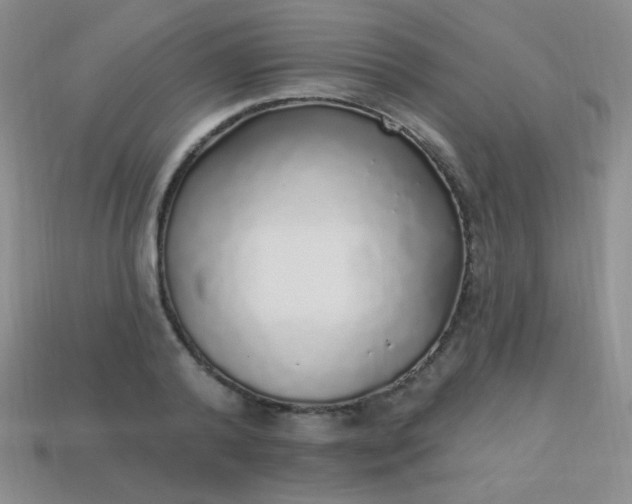 X0000113960792200910091628