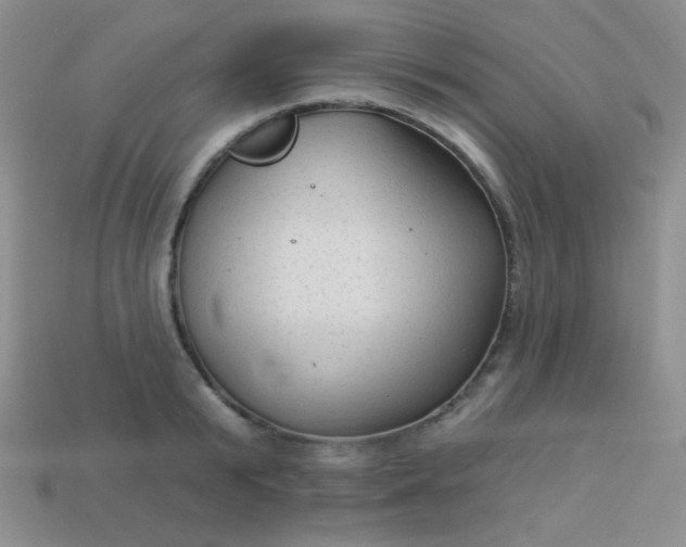 X0000113960799200910091628