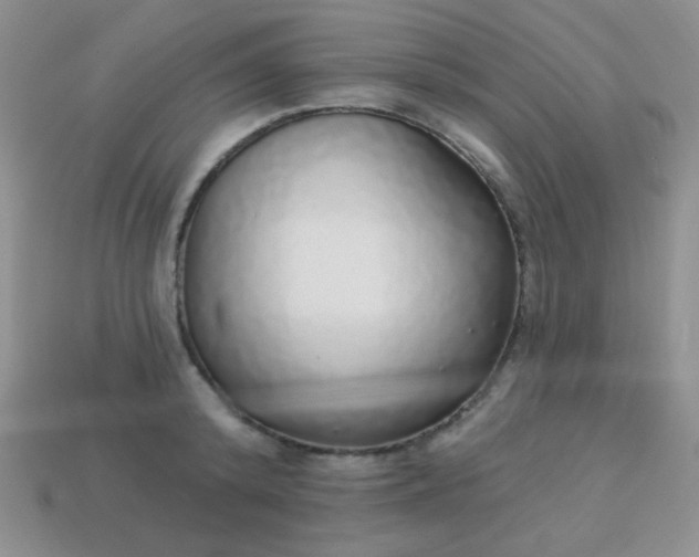 X0000113960800200910091628