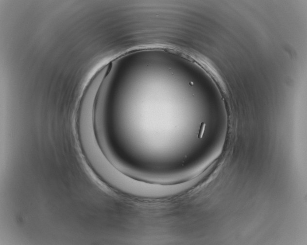 X0000113960805200910091628