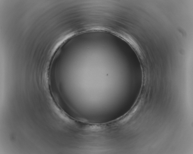 X0000113960806200910091628