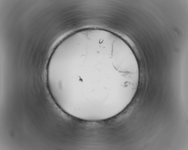 X0000113960807200910091628