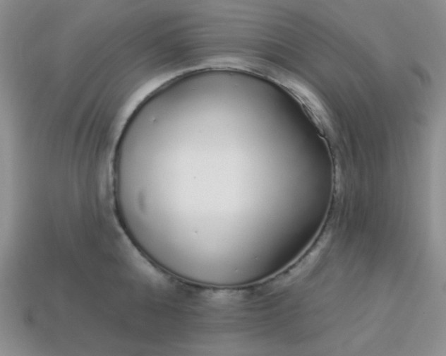 X0000113960808200910091628