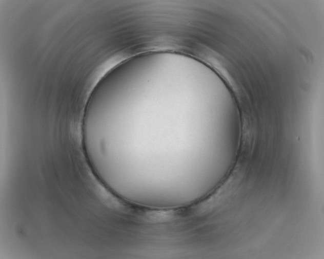 X0000113960810200910091628