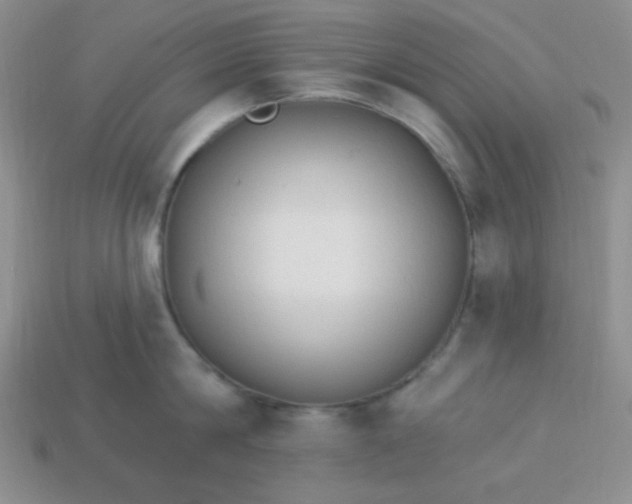 X0000113960814200910091627