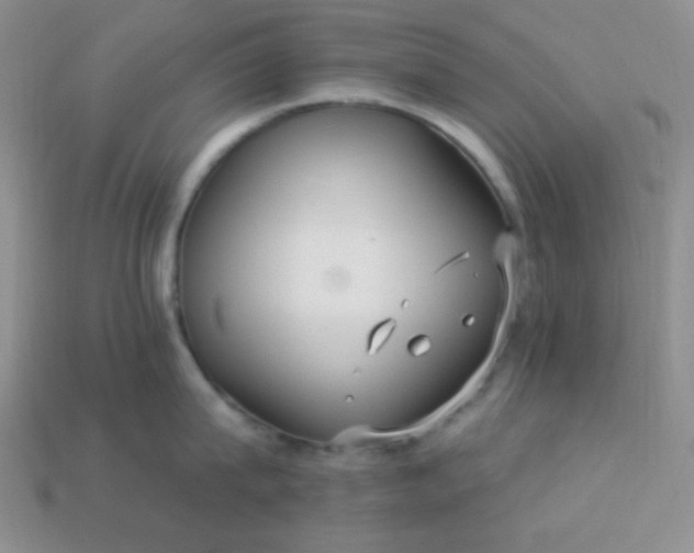 X0000113960815200910091627