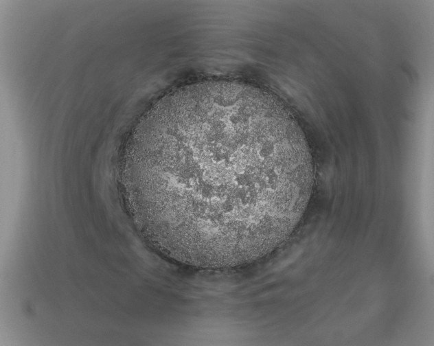 X0000113960817200910091627