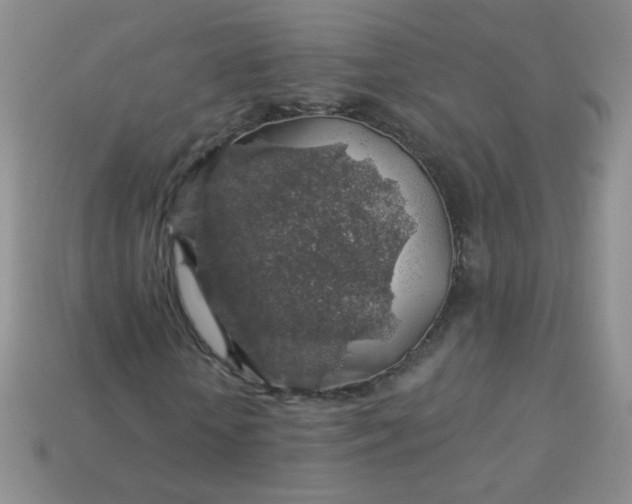 X0000113960818200910091627