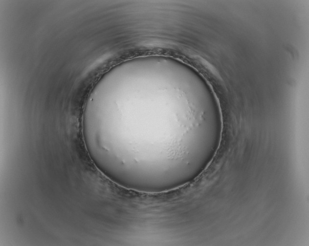 X0000113960821200910091627