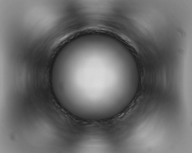 X0000113960822200910091627