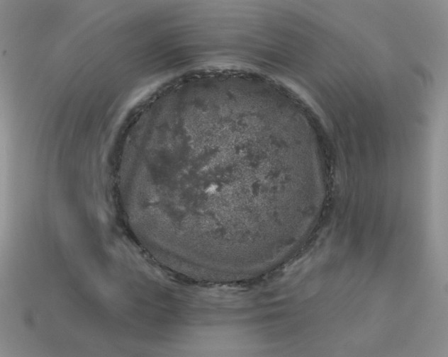 X0000113960823200910091627