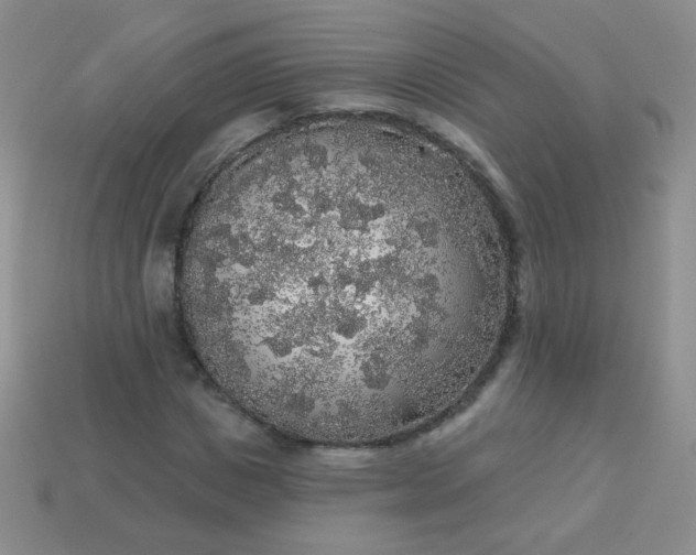 X0000113960825200910091627