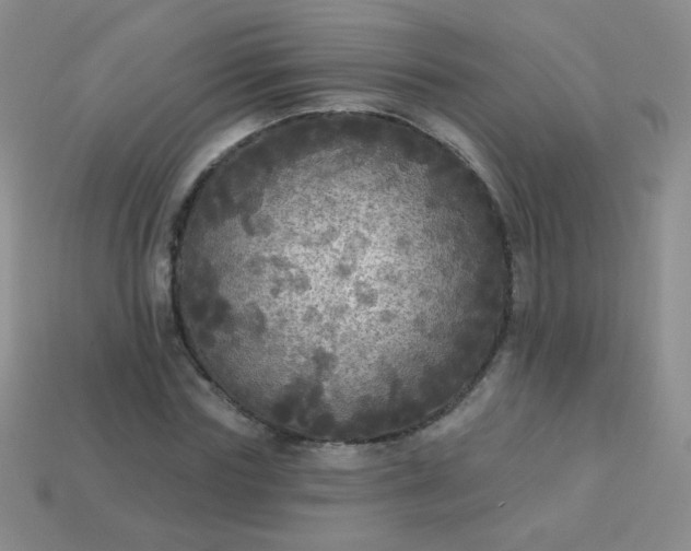 X0000113960827200910091627