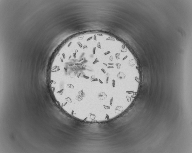 X0000113960828200910091627