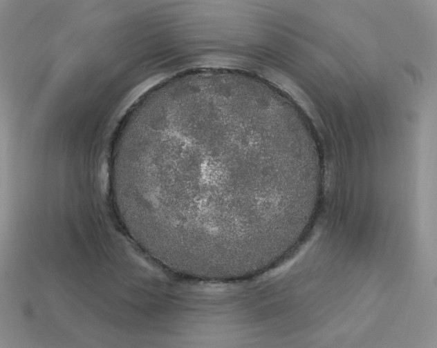 X0000113960829200910091627