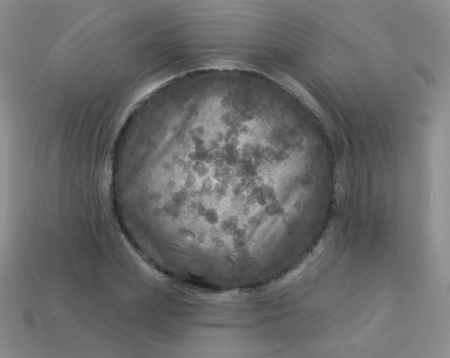 X0000113960831200910091627