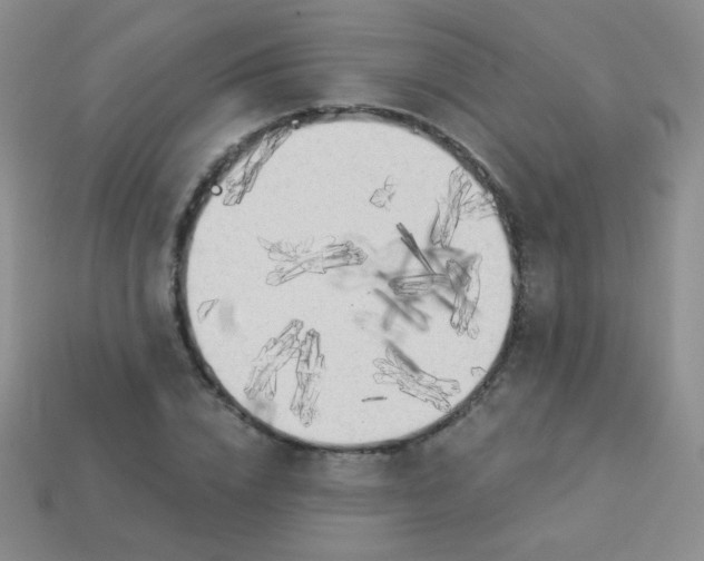 X0000113960832200910091627