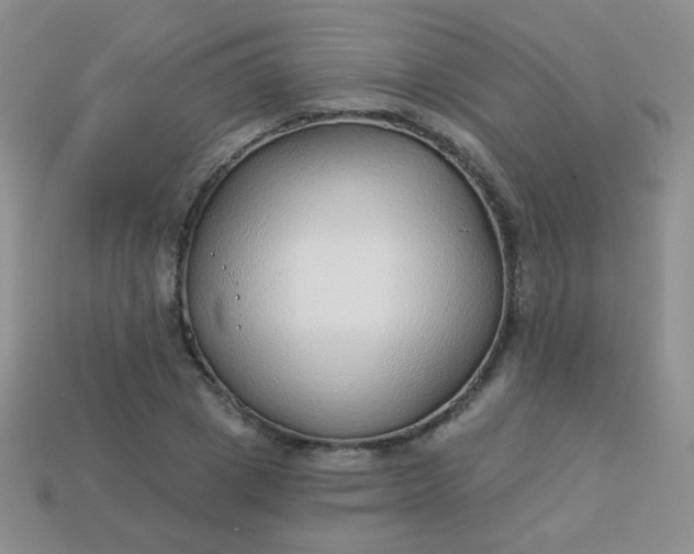 X0000113960833200910091627