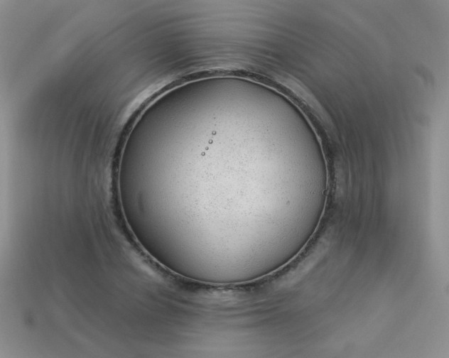 X0000113960834200910091627