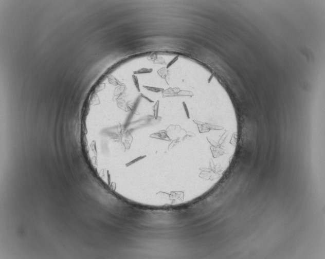 X0000113960836200910091627