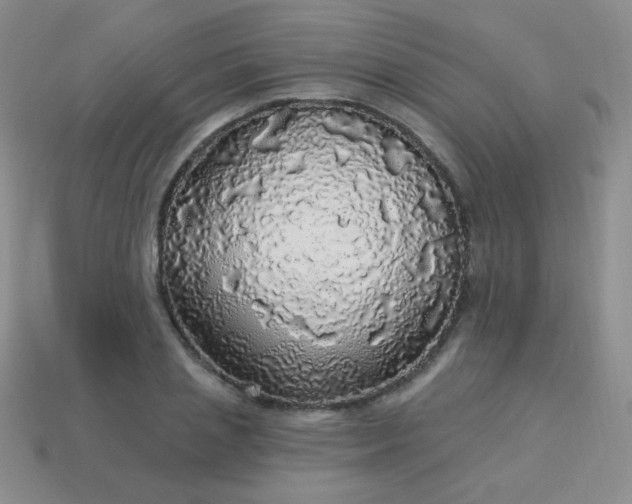 X0000113960837200910091627