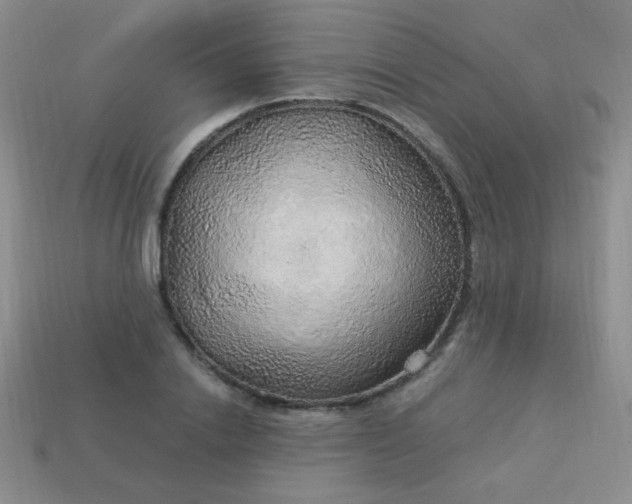 X0000113960838200910091627