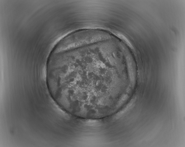 X0000113960839200910091627