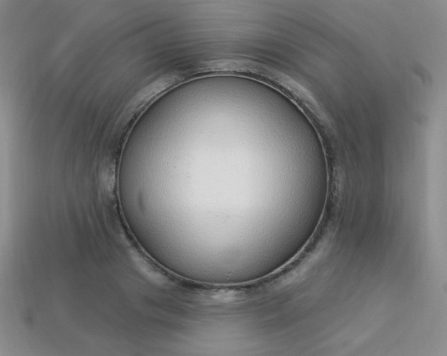 X0000113960841200910091627