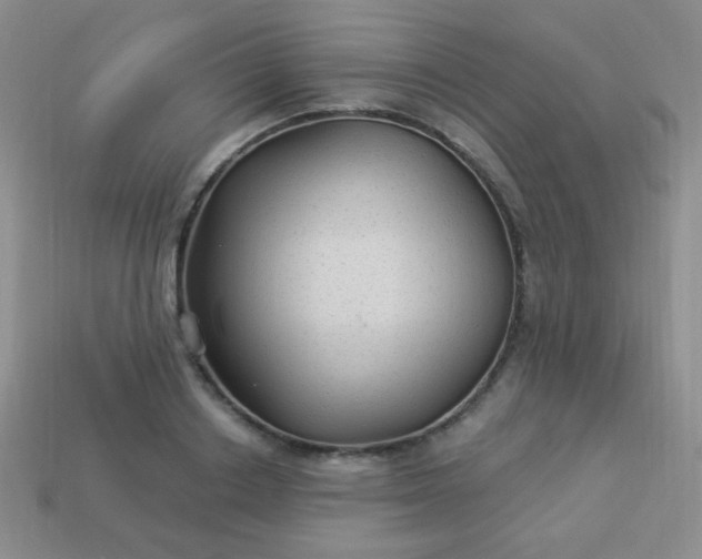 X0000113960842200910091627