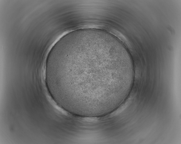 X0000113960844200910091627