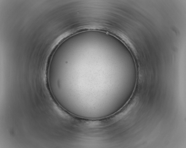 X0000113960845200910091627