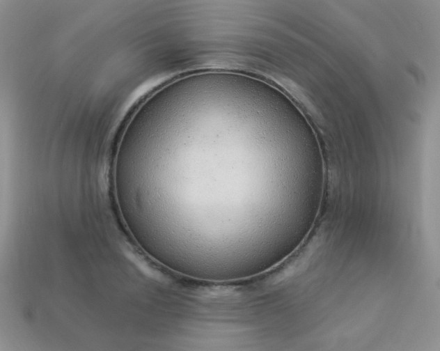 X0000113960846200910091627