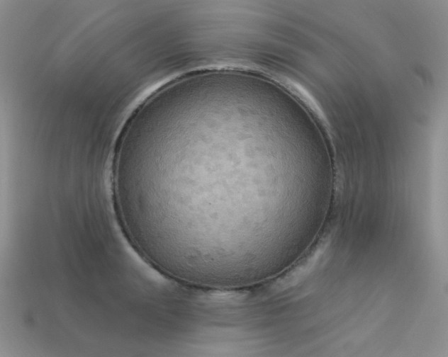 X0000113960847200910091627